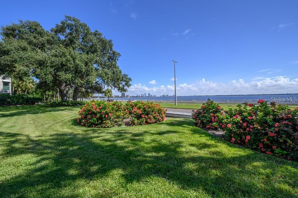 3325 BAYSHORE BLVD #D16 — photo 8