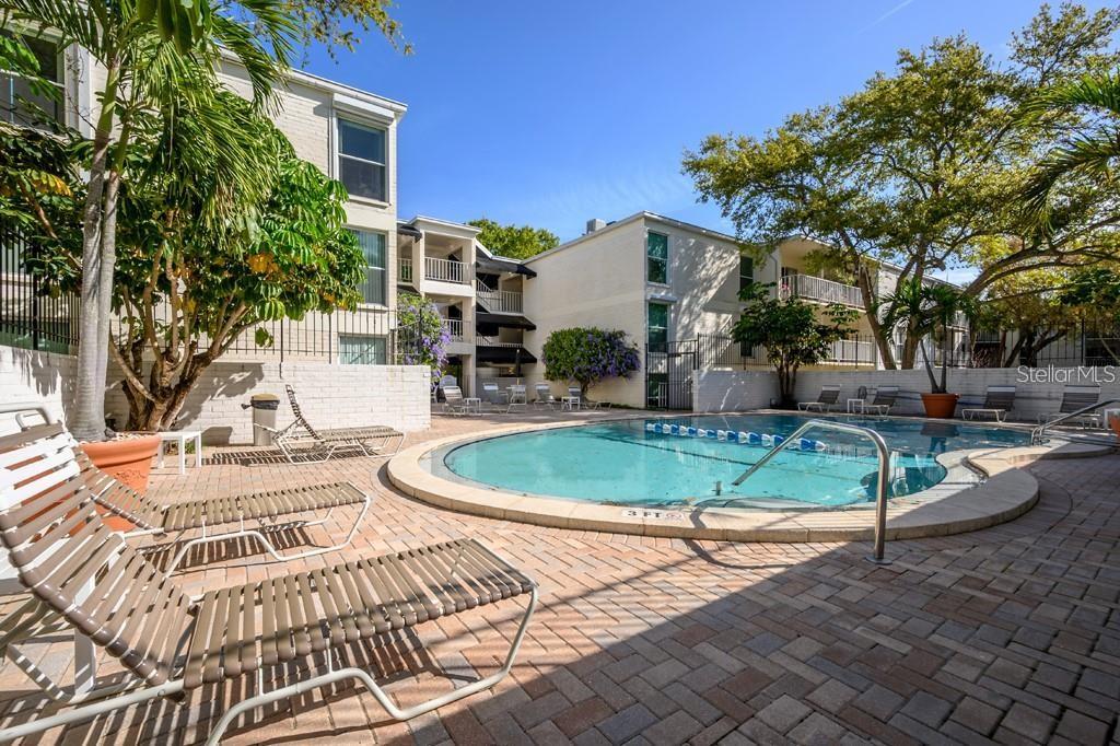 3325 BAYSHORE BLVD #D16 — photo 12