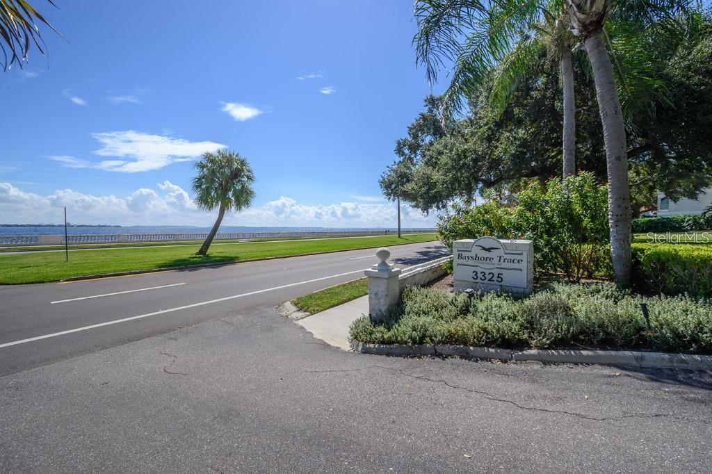 3325 BAYSHORE BLVD #D16 — photo 5