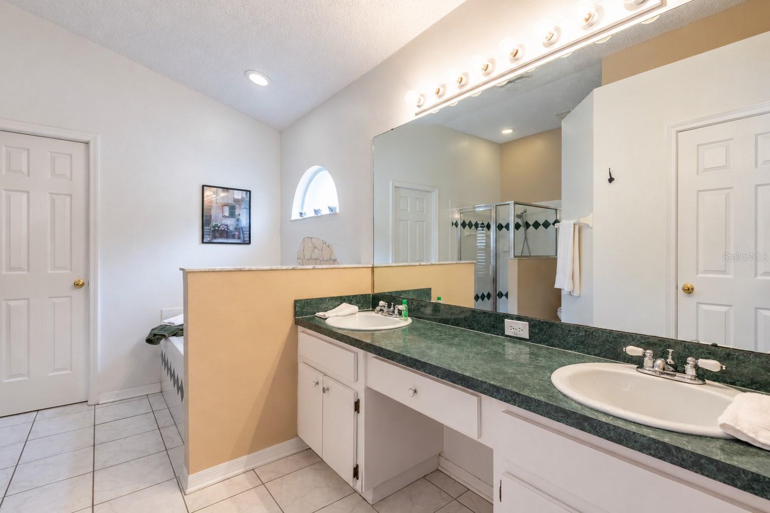 10274 OASIS PALM DR — photo 22