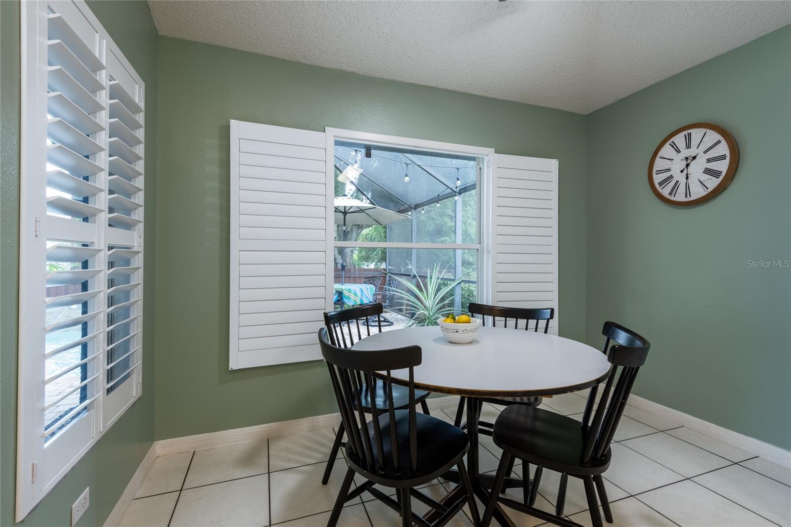 10274 OASIS PALM DR — photo 17