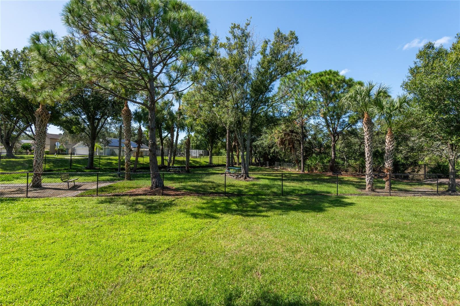 10274 OASIS PALM DR — photo 33