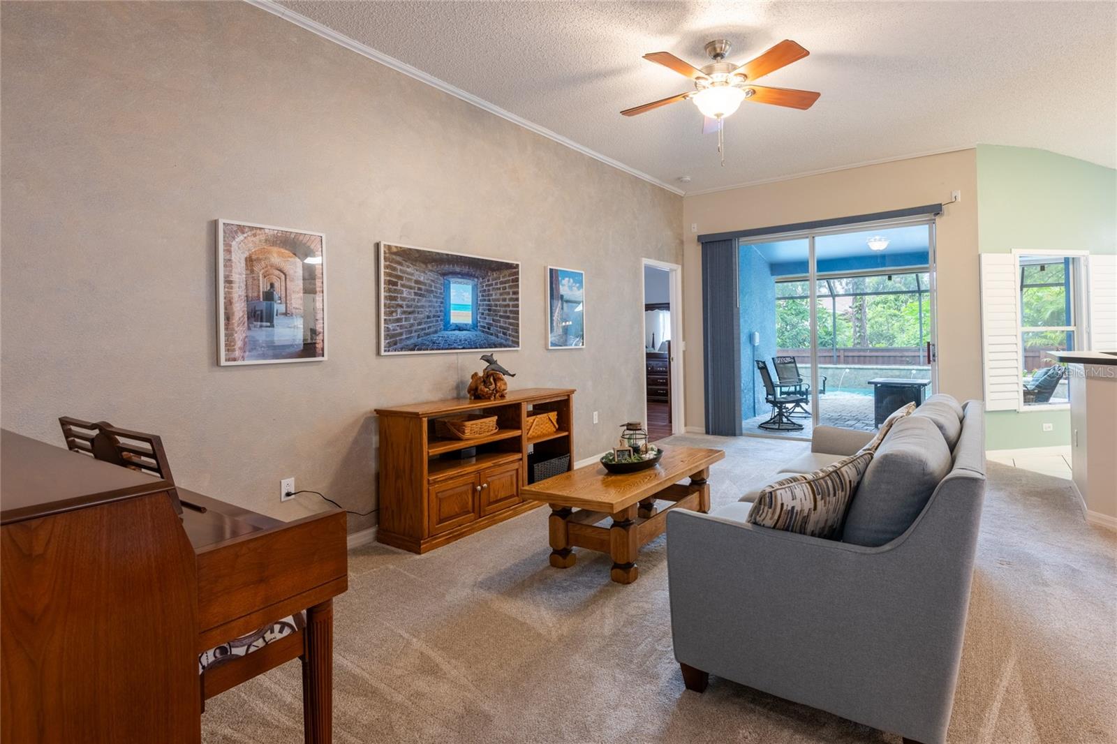 10274 OASIS PALM DR — photo 9