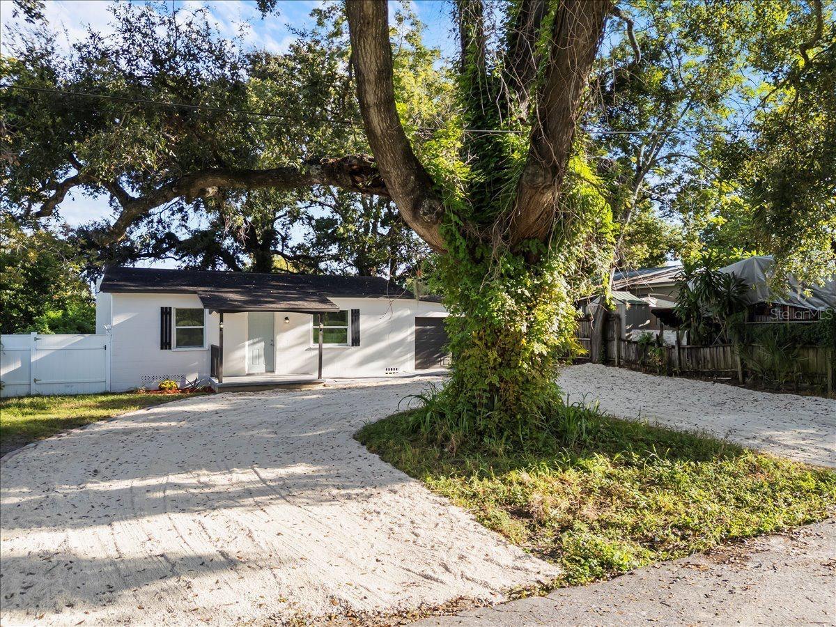 704 E WILMA ST — photo 4