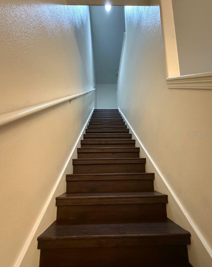 2807 LANTERN HILL AVE — photo 9
