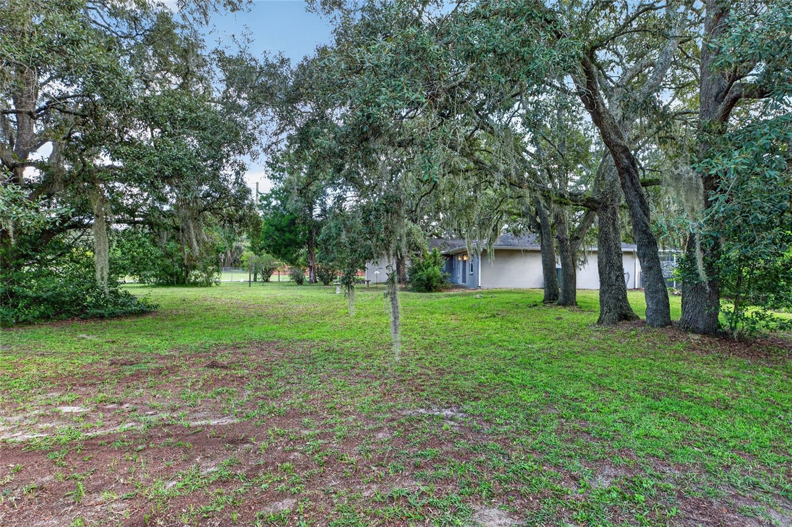 15620 HAYS RD — photo 73