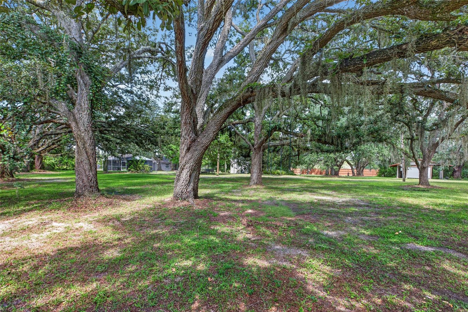 15620 HAYS RD — photo 34