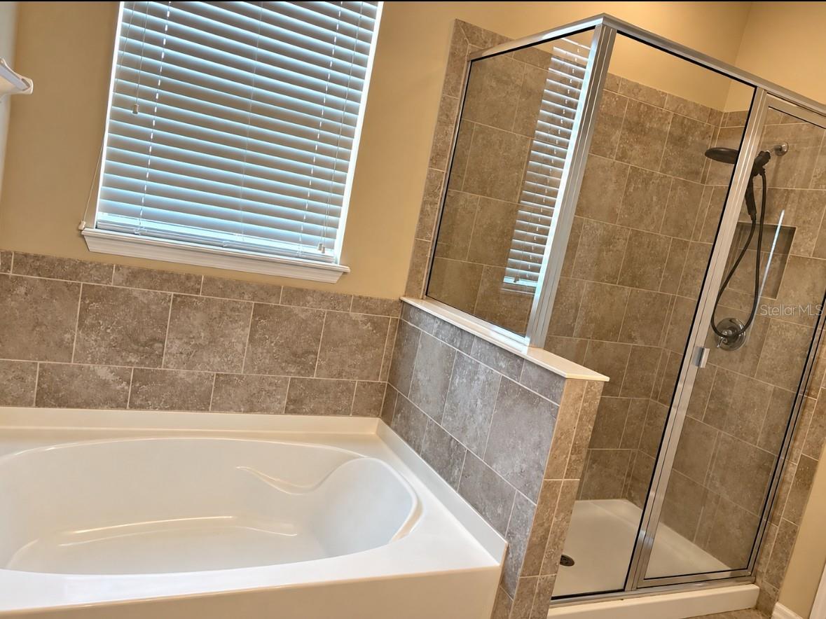 10605 AVIAN FORREST DR — photo 6