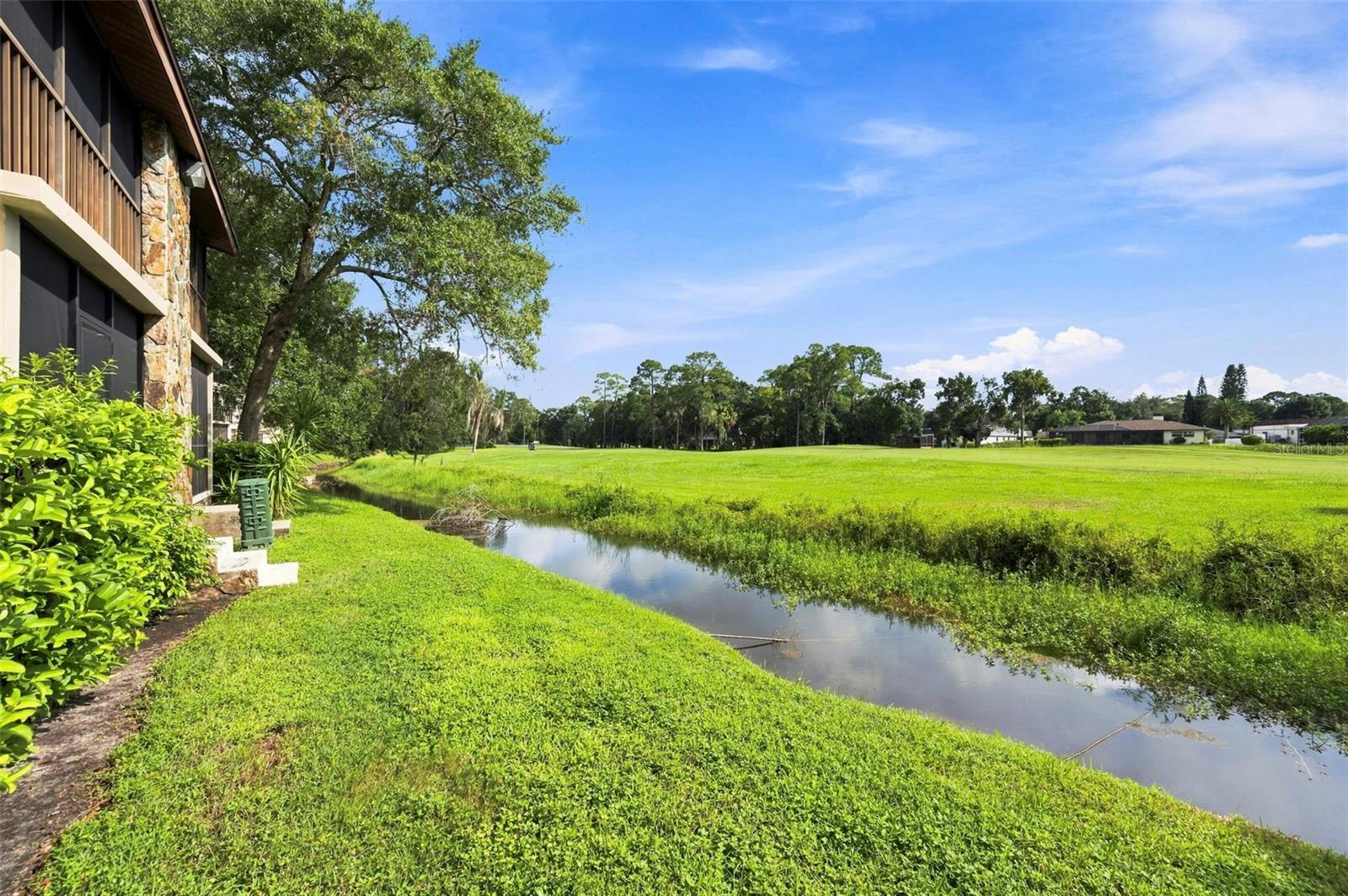 1000 TARPON WOODS BLVD #302 — photo 38