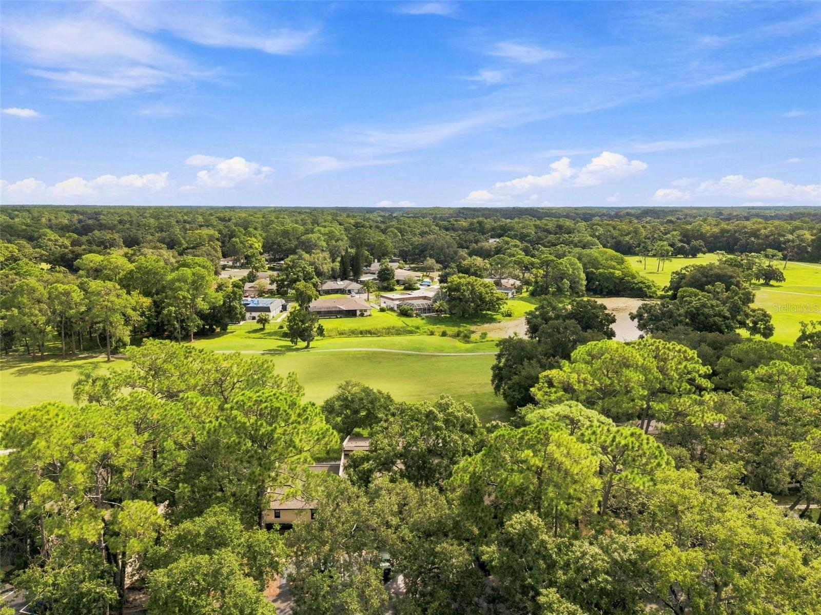 1000 TARPON WOODS BLVD #302 — photo 43