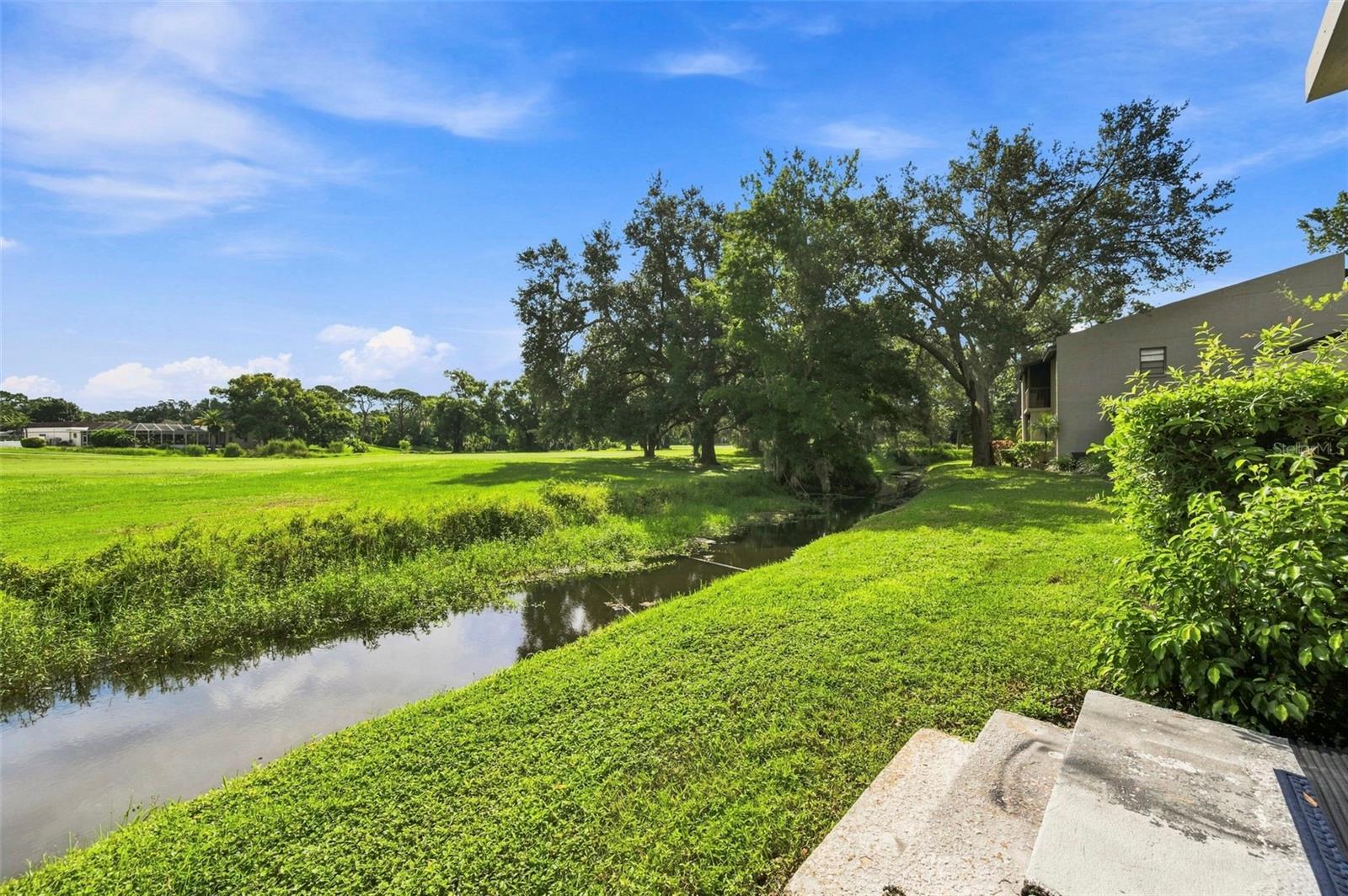 1000 TARPON WOODS BLVD #302 — photo 39