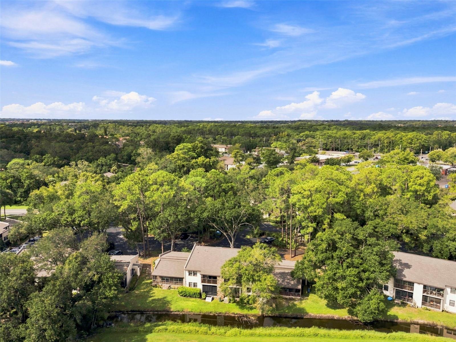 1000 TARPON WOODS BLVD #302 — photo 46