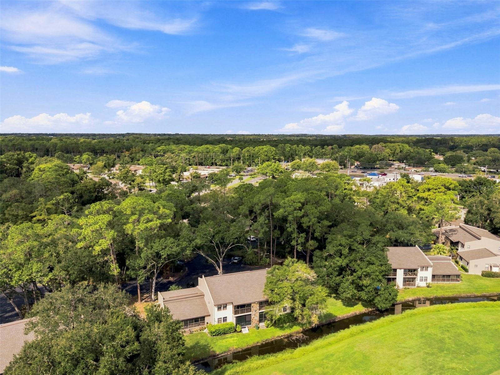 1000 TARPON WOODS BLVD #302 — photo 44