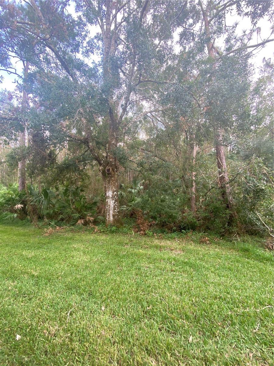 8547 HUNTERS KEY CIR — photo 25