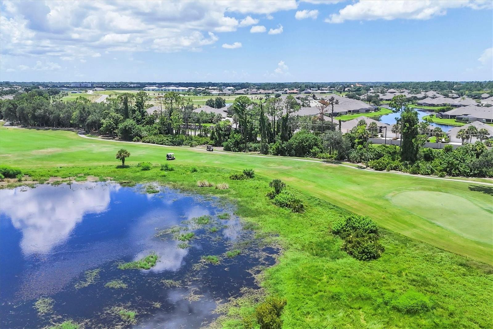 5641 WHISPERING OAKS DR — photo 47