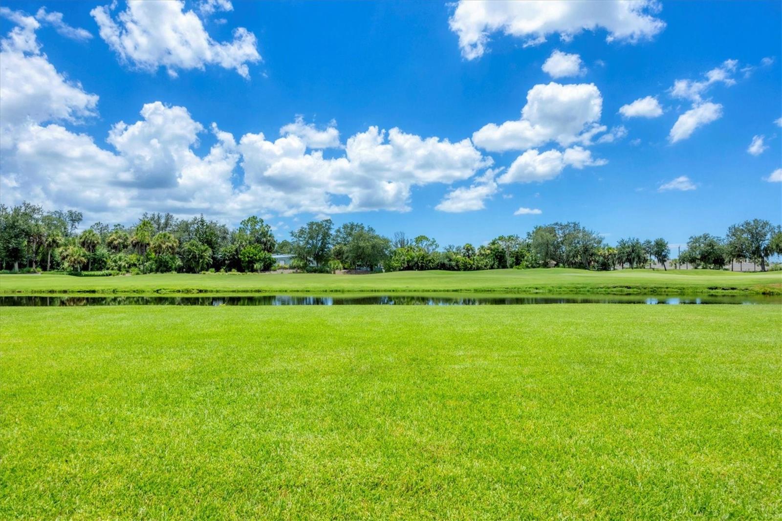 5641 WHISPERING OAKS DR — photo 40