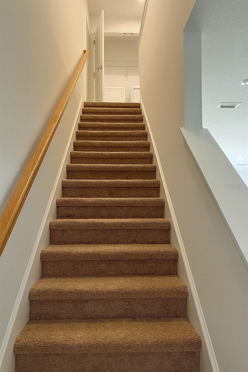 34150 POLACCA LN — photo 6