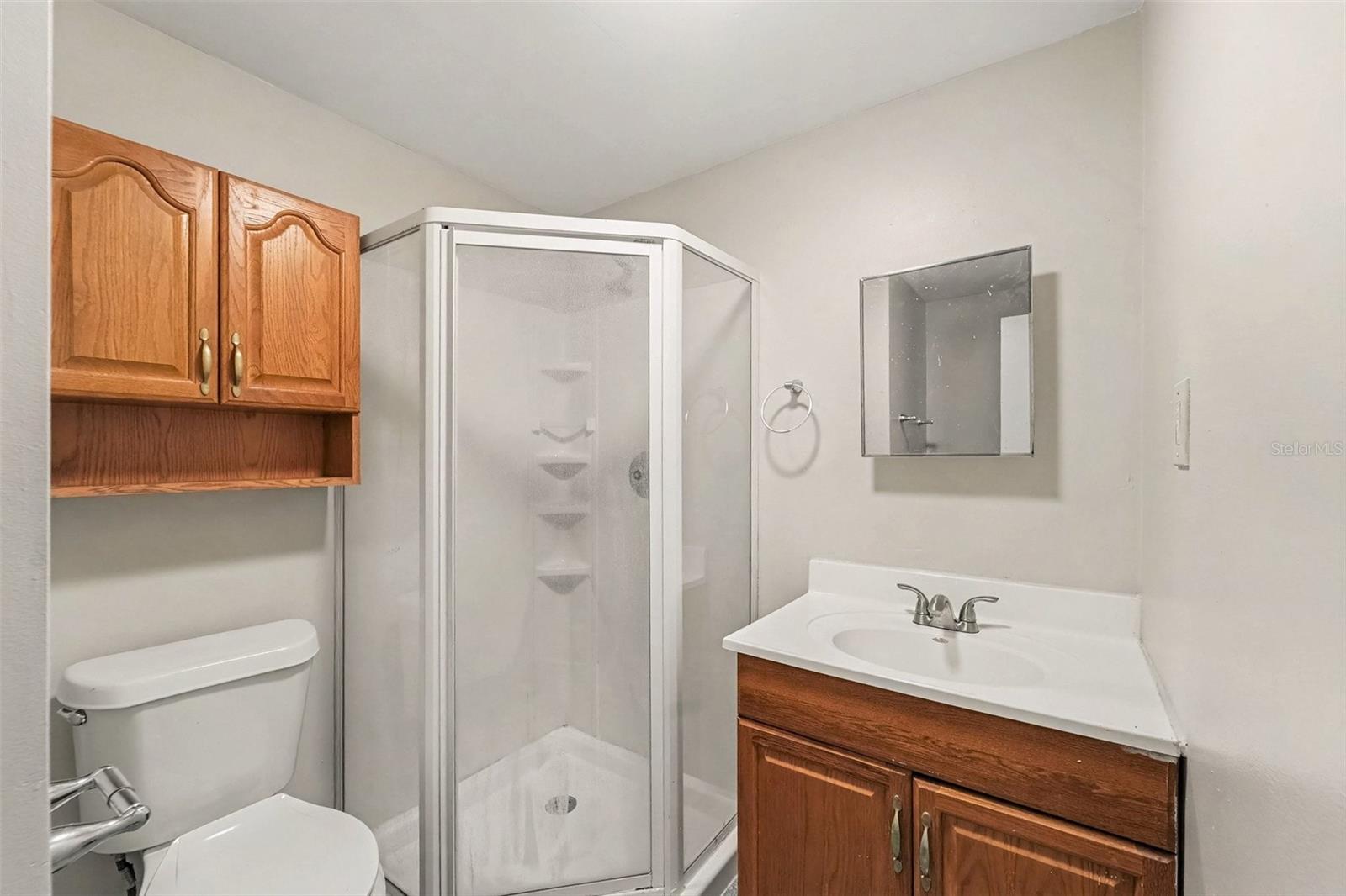 10036 GLEN MOOR LN — photo 17