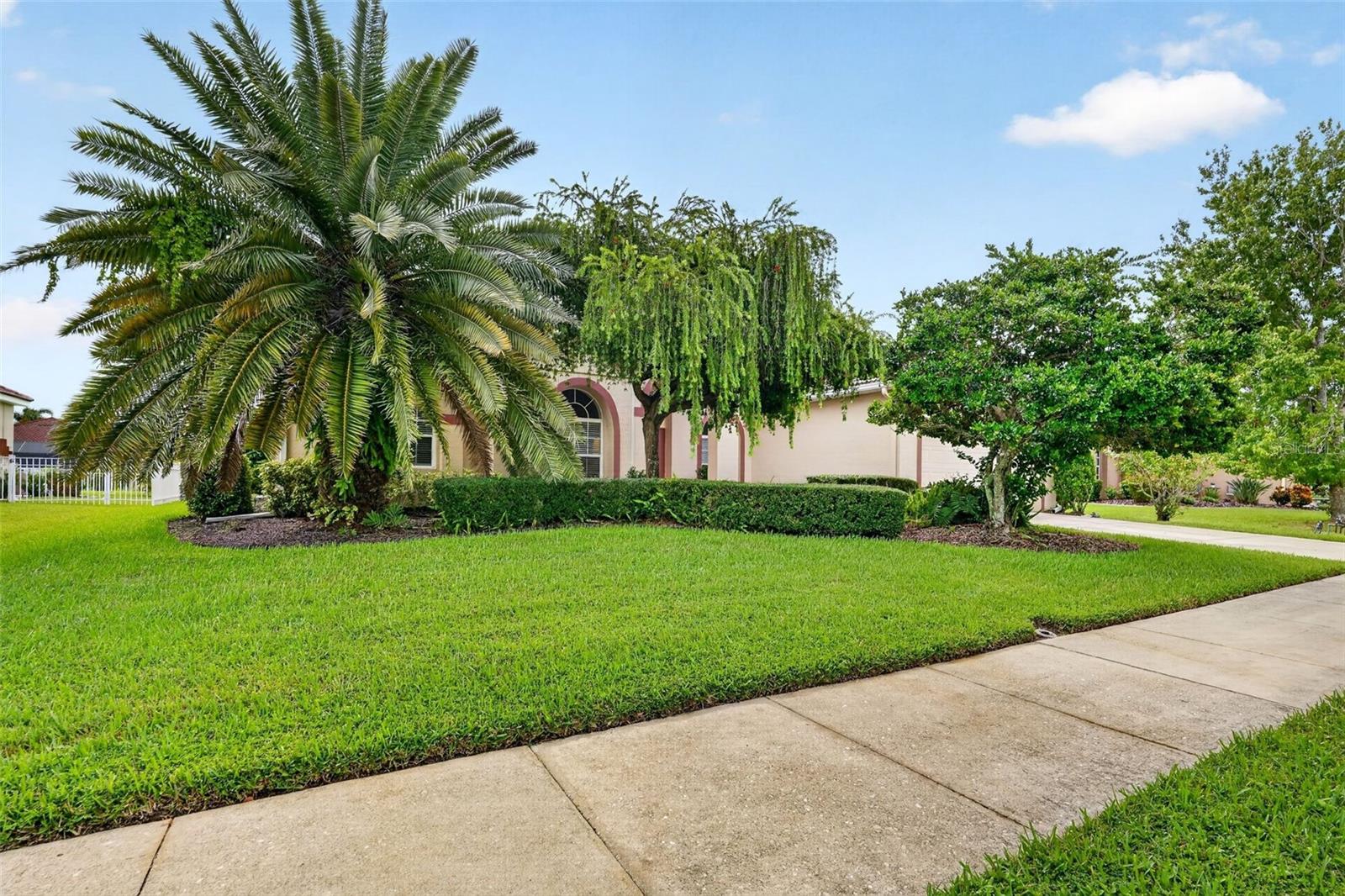 1322 WESTERN PINE CIR — photo 41