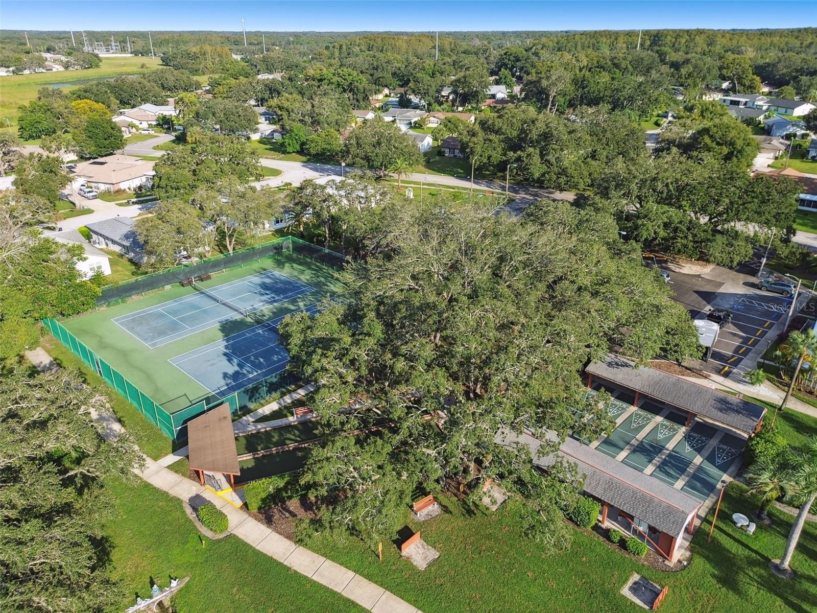 11231 DOLLAR LAKE DR #4 — photo 38