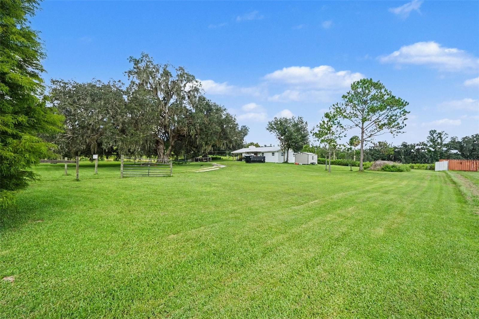 36653 BLANTON RD — photo 24