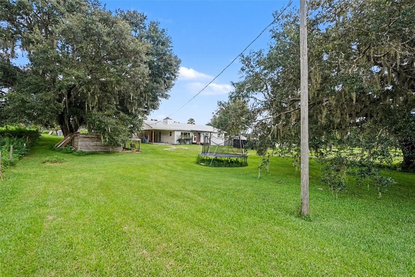 36653 BLANTON RD — photo 26