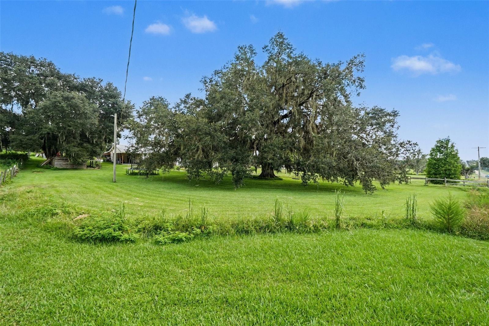 36653 BLANTON RD — photo 27