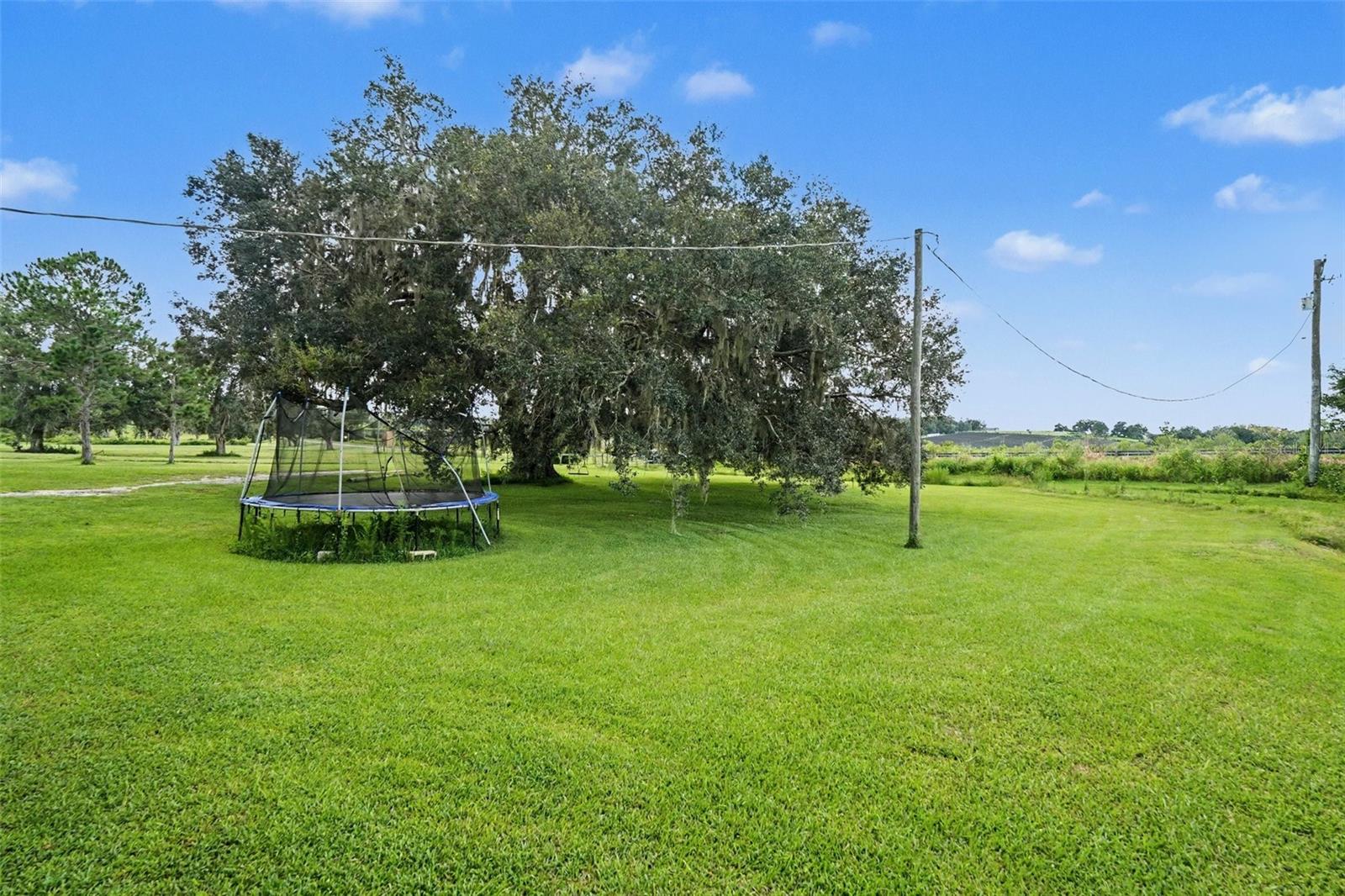 36653 BLANTON RD — photo 25