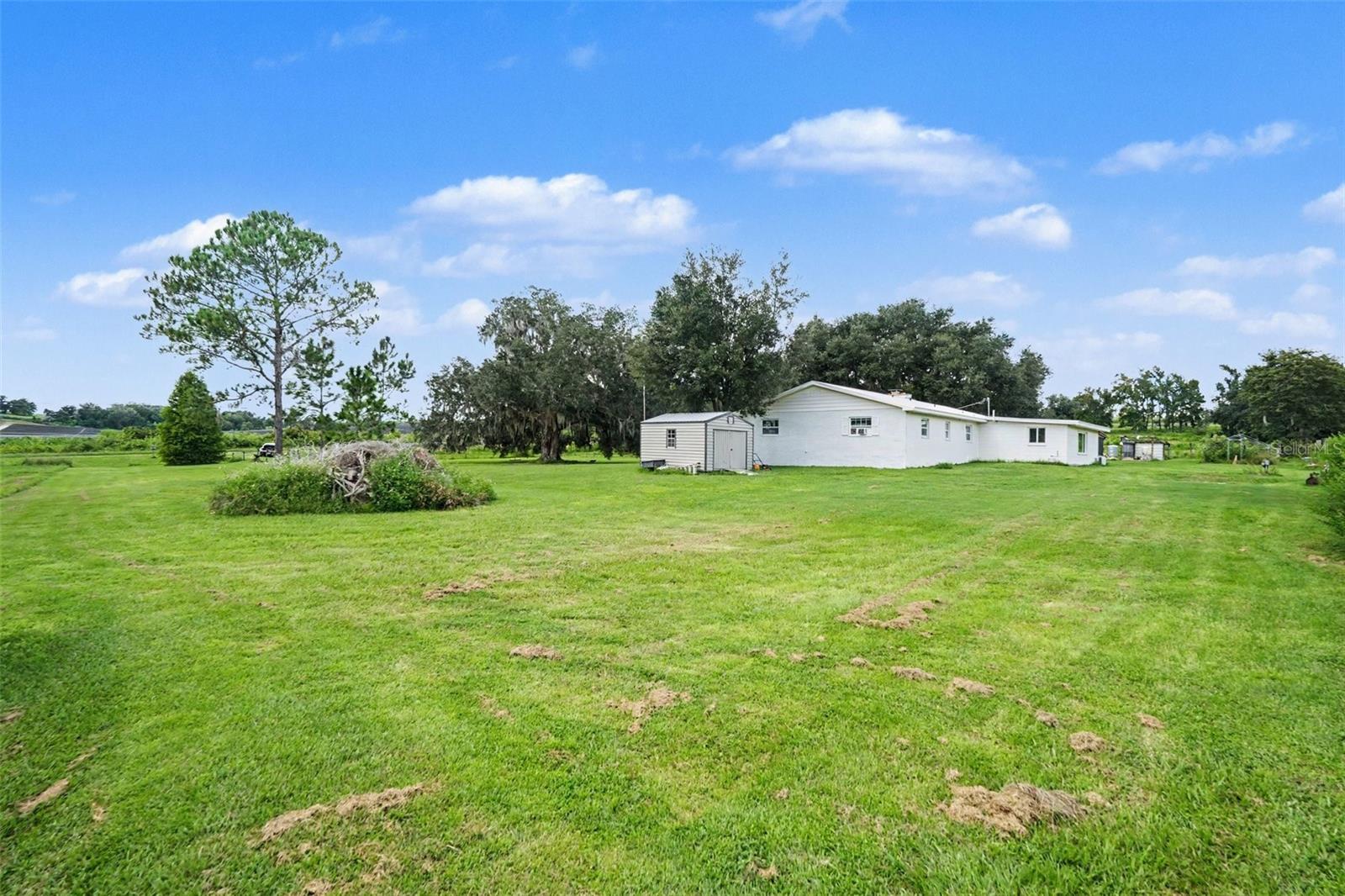 36653 BLANTON RD — photo 29