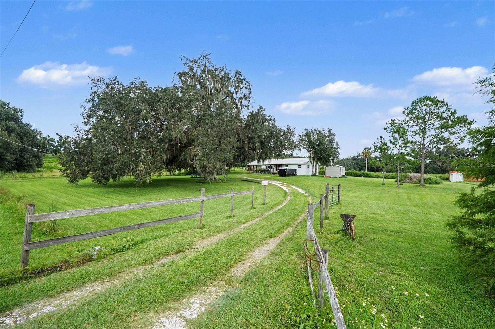 36653 BLANTON RD — photo 4