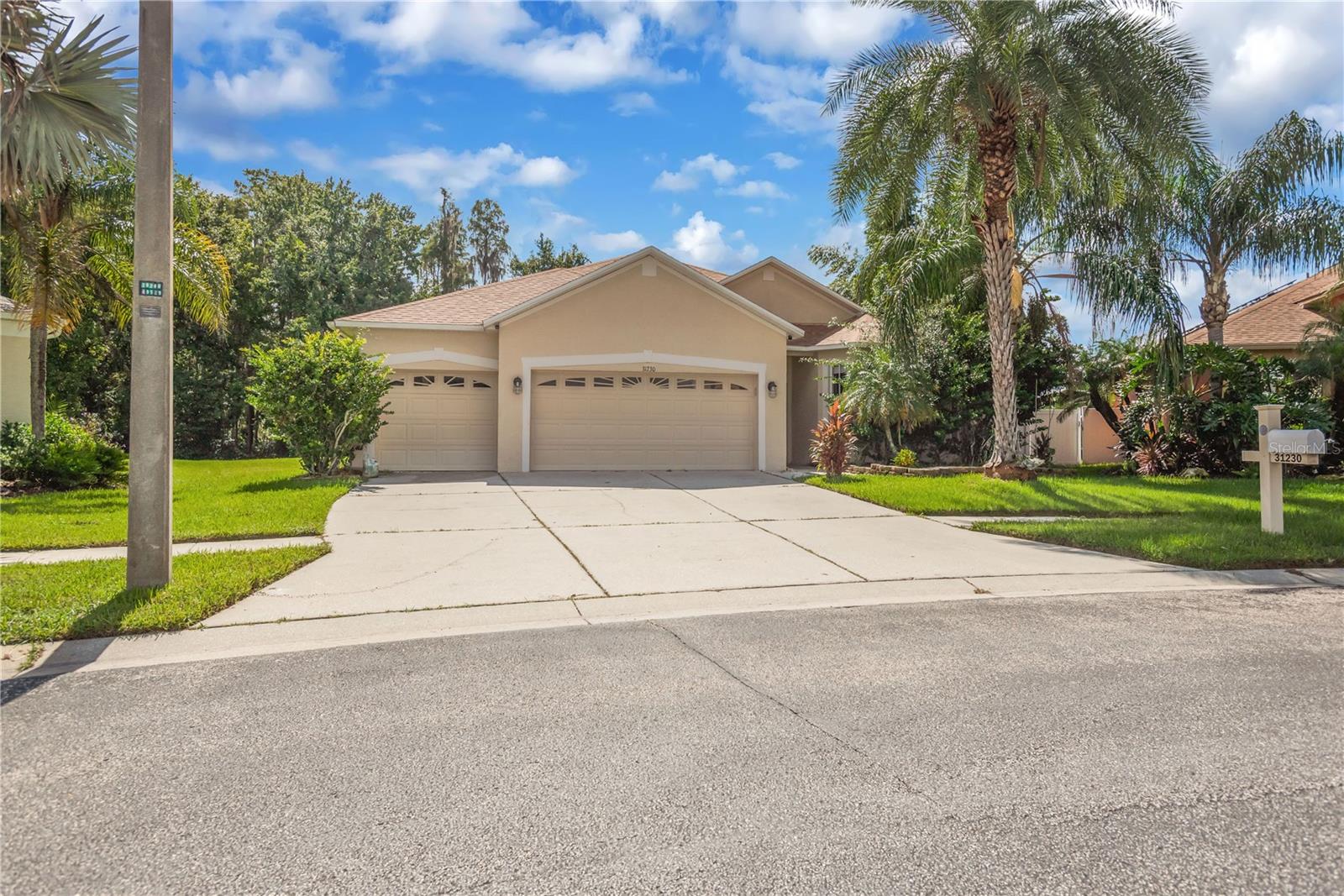 31230 ALCHESTER DR — photo 2