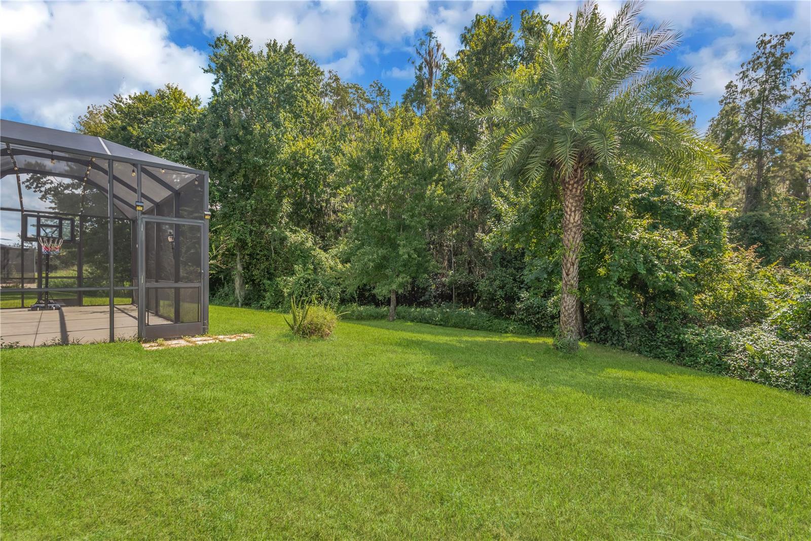 31230 ALCHESTER DR — photo 30