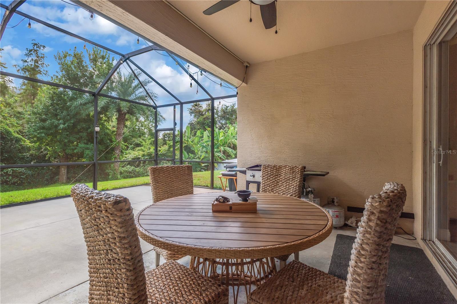 31230 ALCHESTER DR — photo 24