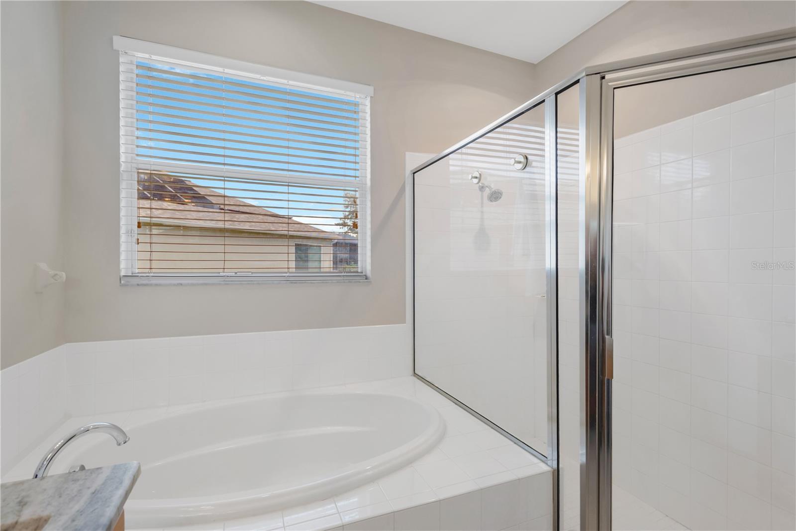 31230 ALCHESTER DR — photo 16