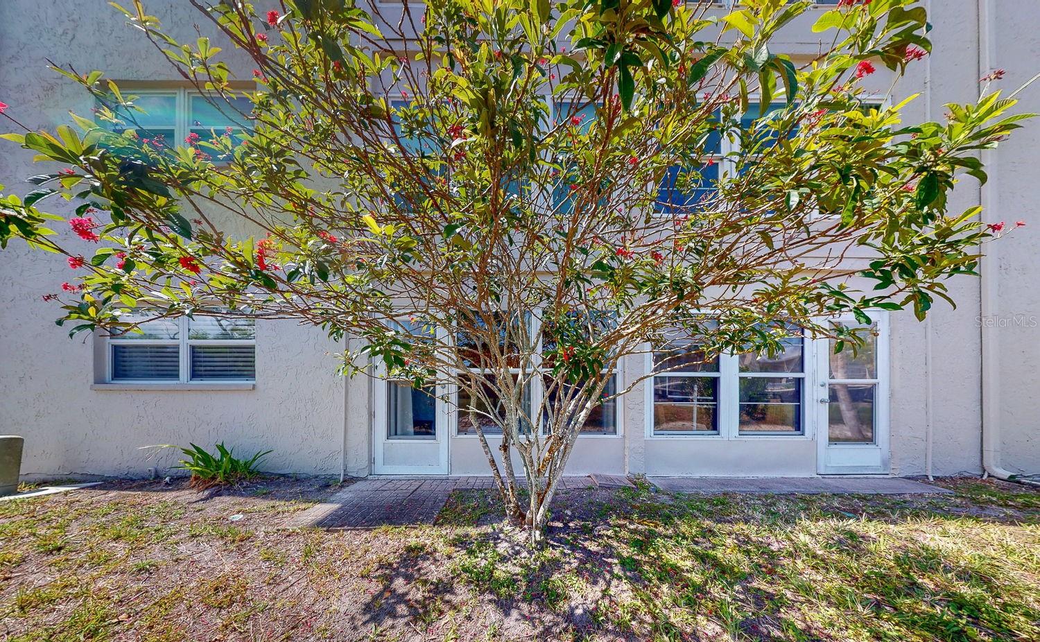 940 VIRGINIA ST #103 — photo 39