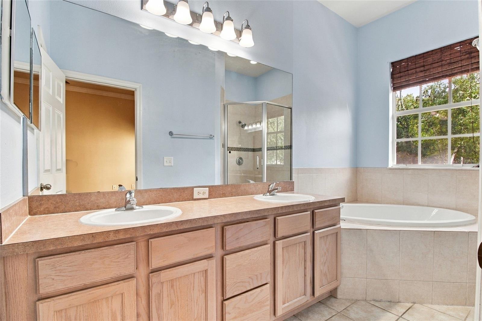 14017 CITRUS CREST CIR — photo 14