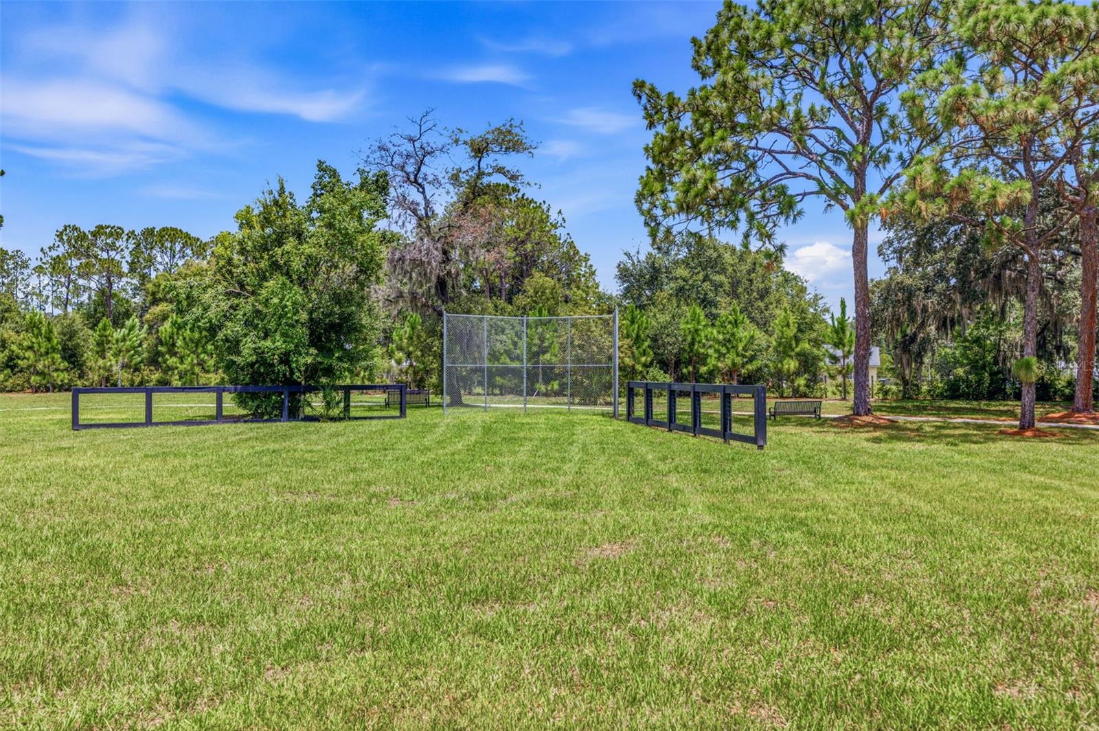 11126 MANOR HOUSE LN — photo 55