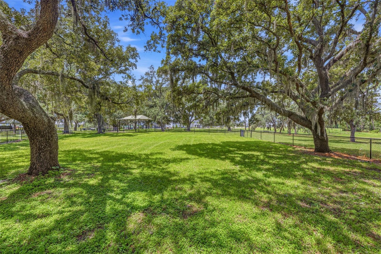 11126 MANOR HOUSE LN — photo 54