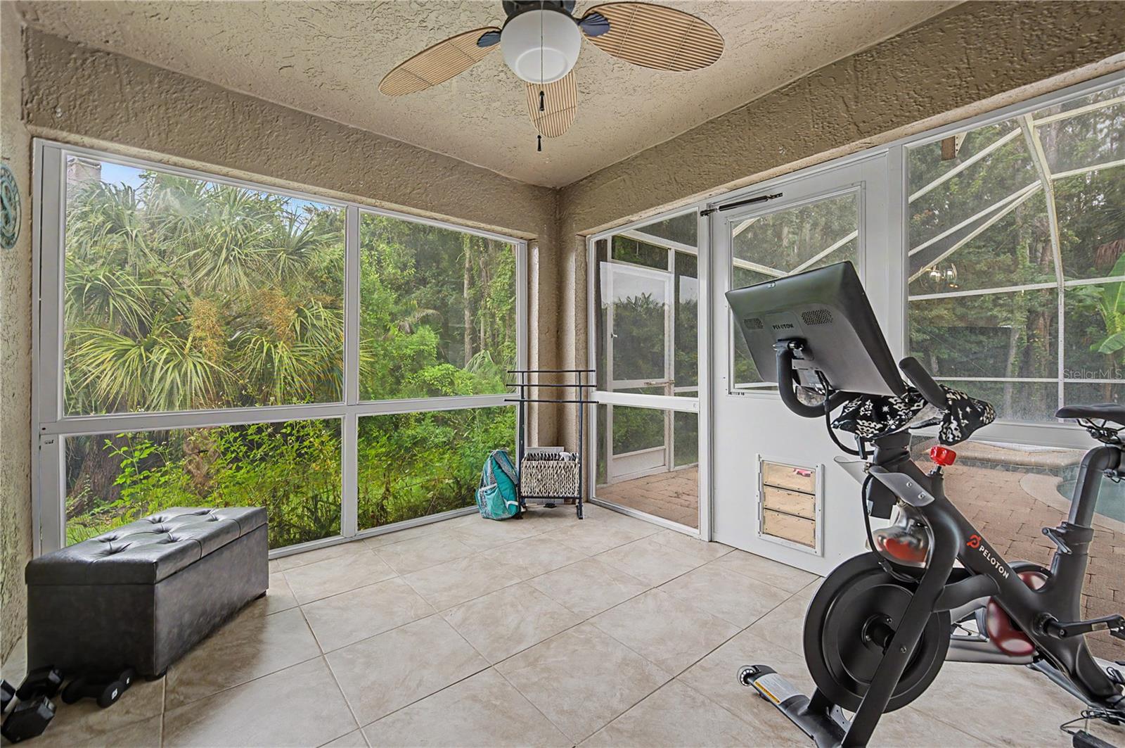 212 ARBOR WOODS CIR — photo 31