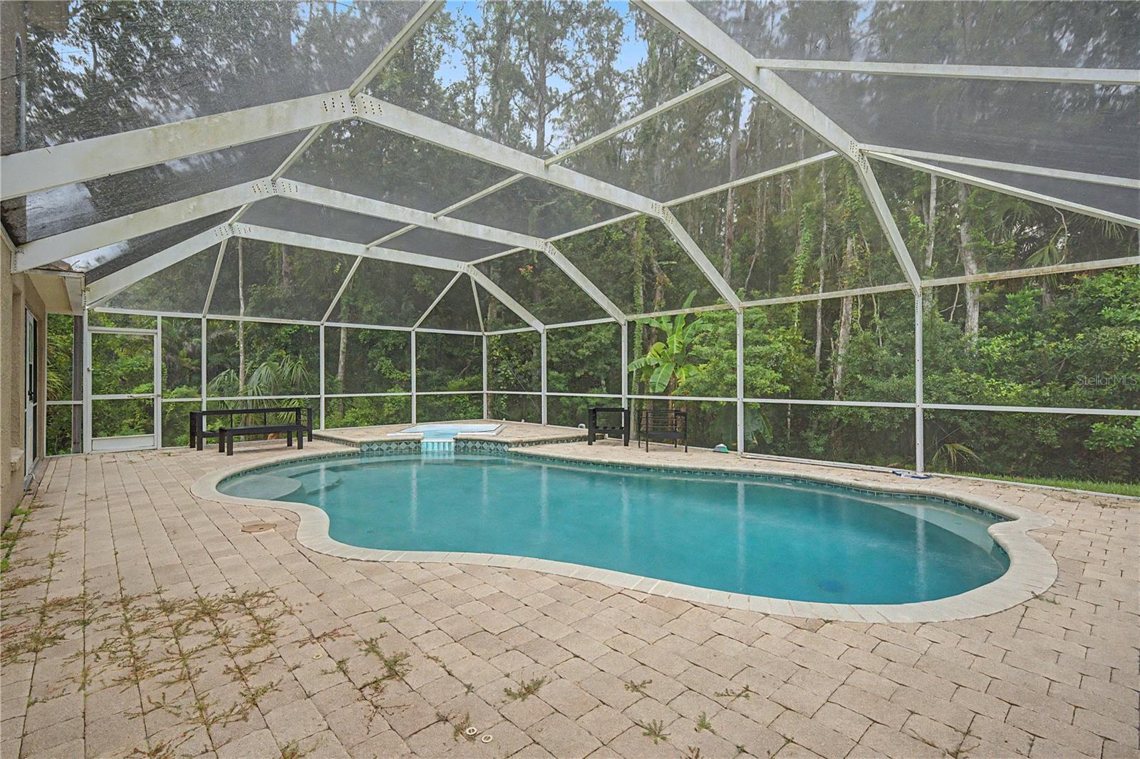 212 ARBOR WOODS CIR — photo 34