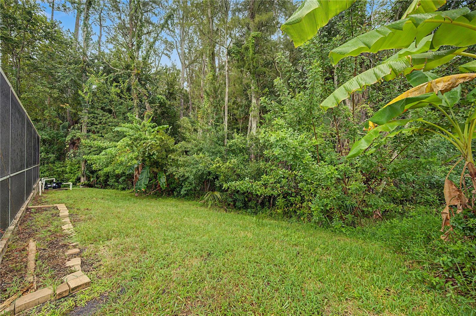 212 ARBOR WOODS CIR — photo 38