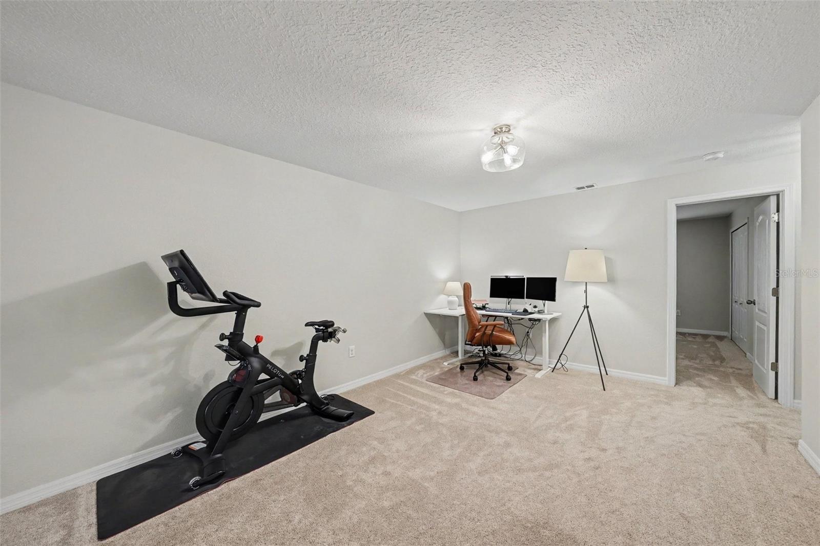 8604 FIDDLELEAF COURT — photo 24