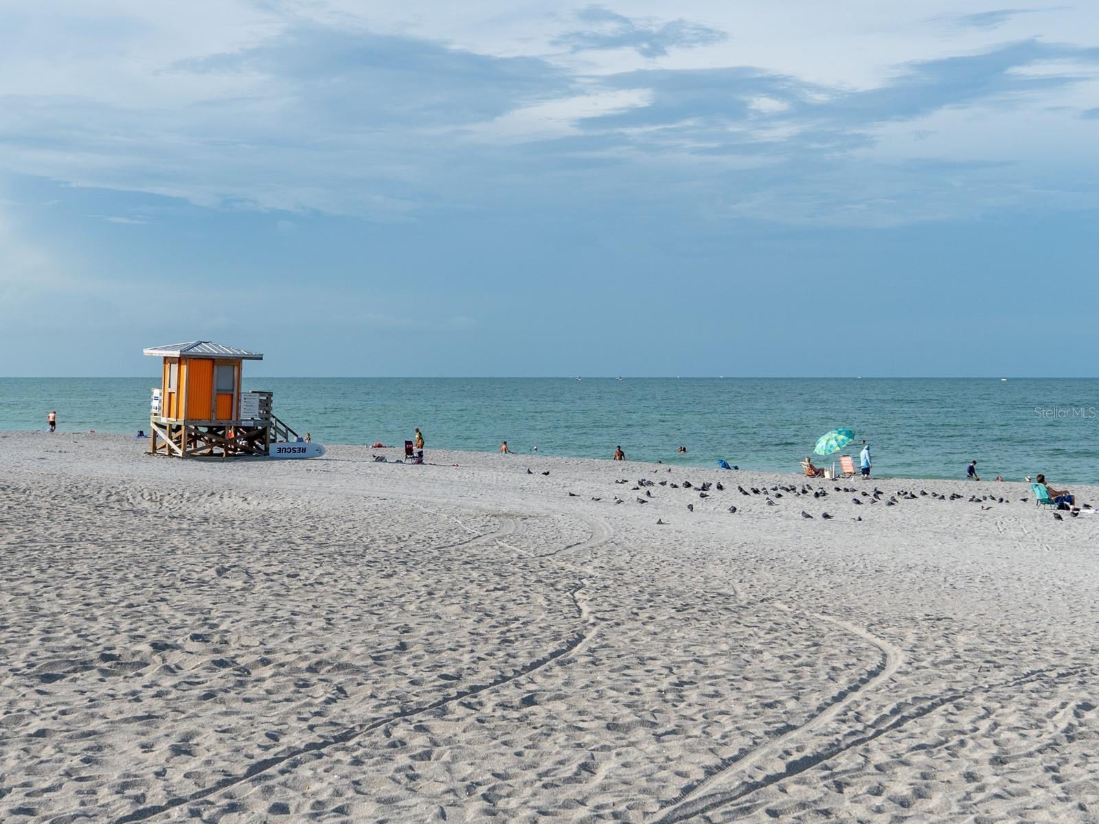 501 TAMIAMI TRL N #201 — photo 93