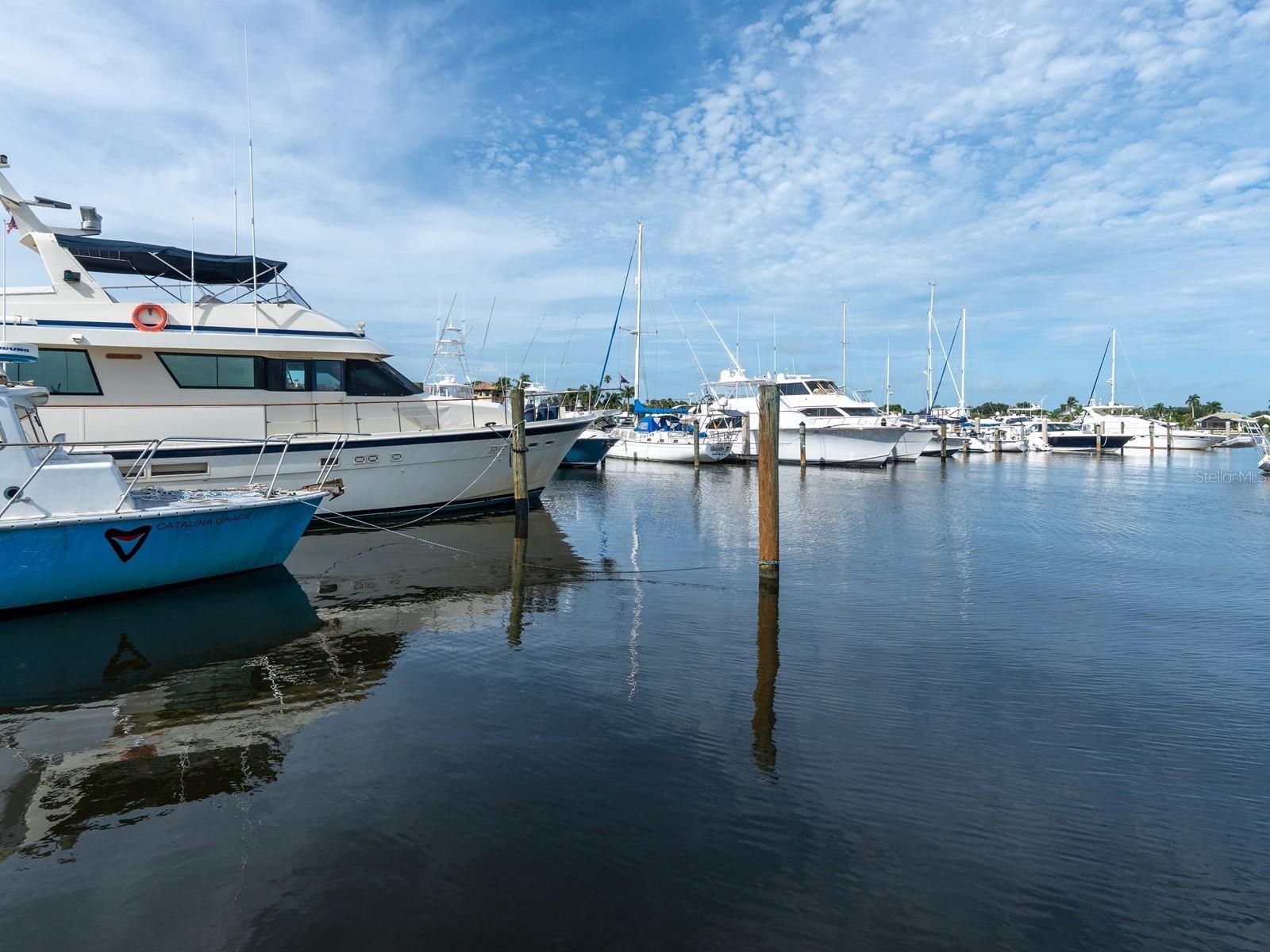 501 TAMIAMI TRL N #201 — photo 64
