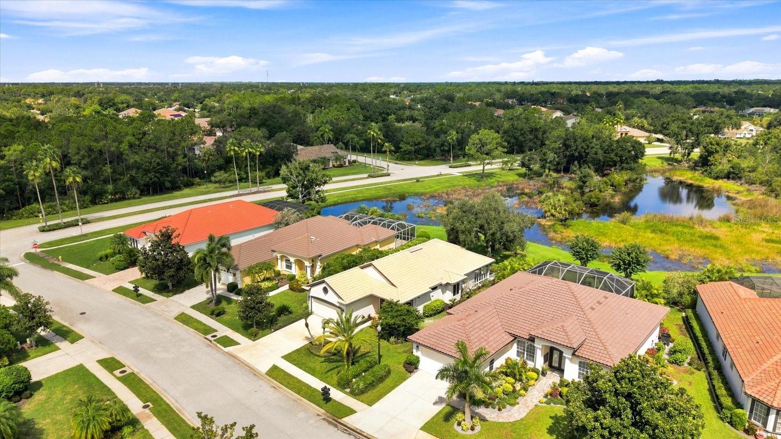 10209 SILVERADO CIR — photo 48
