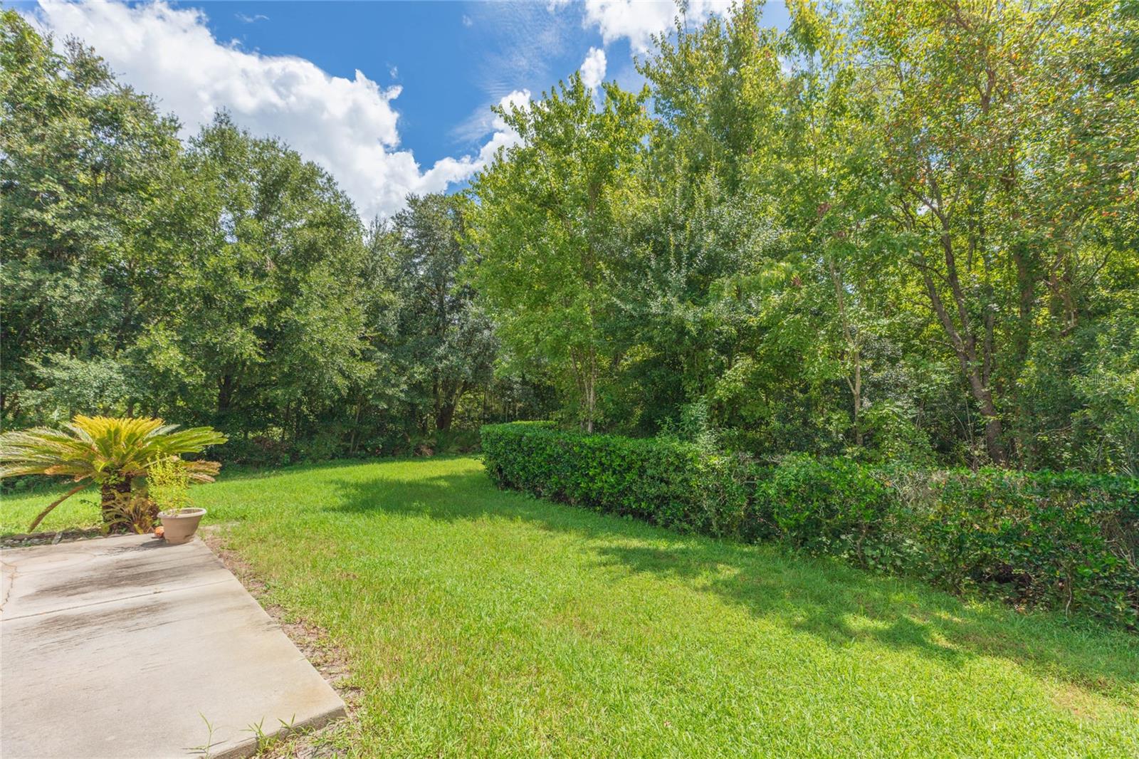 34942 DOUBLE EAGLE CT — photo 36