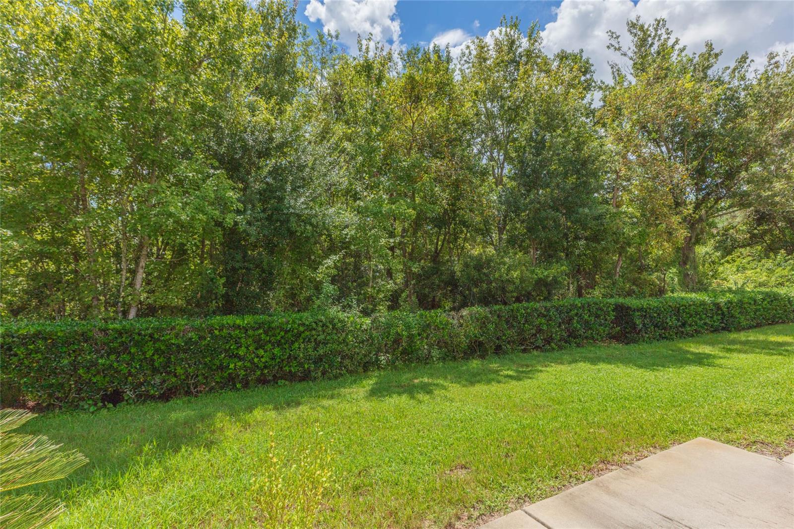 34942 DOUBLE EAGLE CT — photo 37