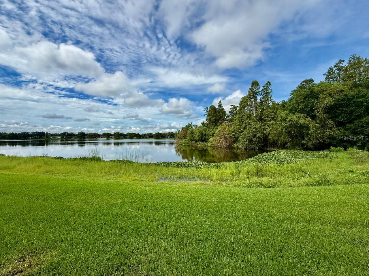 16596 BRIGADOON DR — photo 46