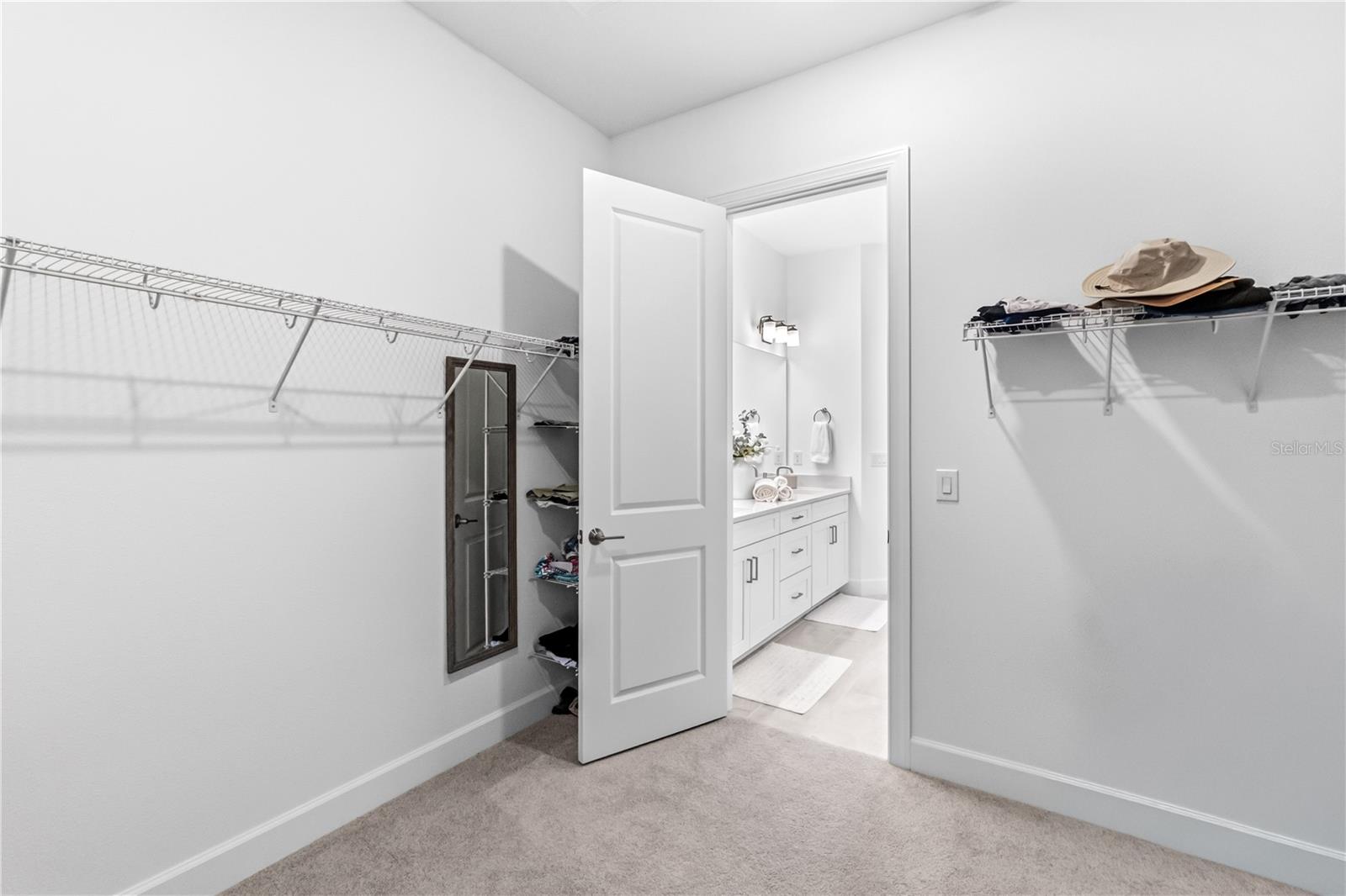 10394 MORNING MIST LN — photo 21