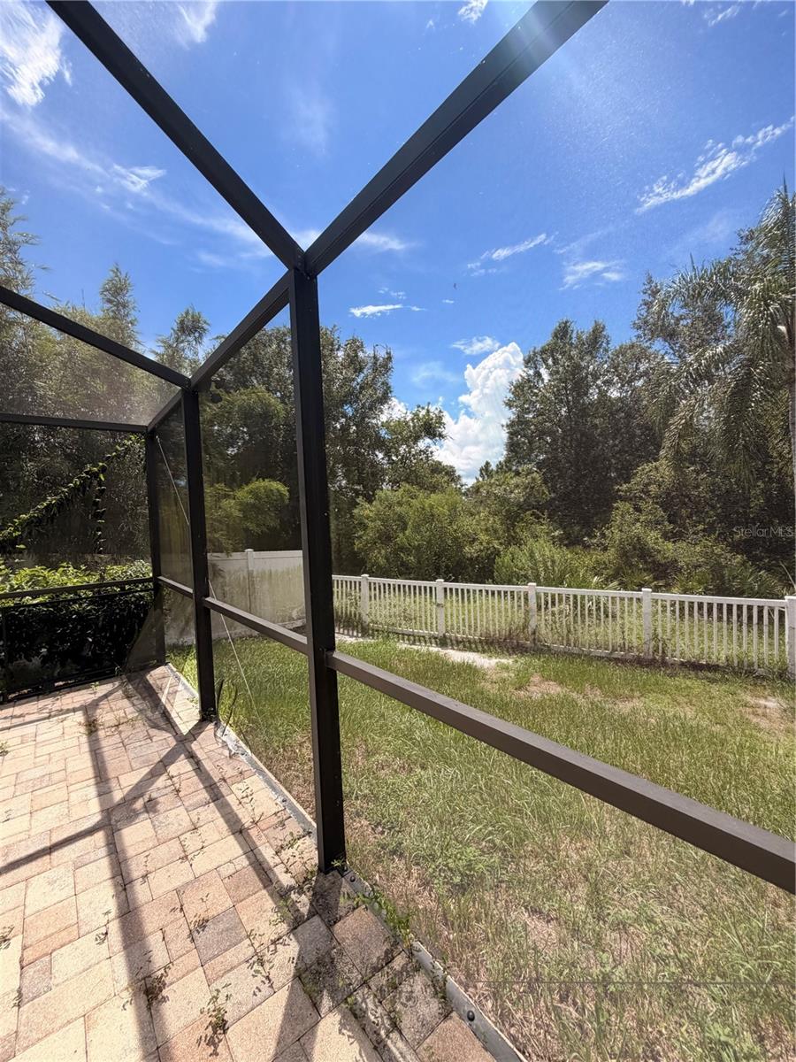 18138 SWEET JASMINE DR — photo 46